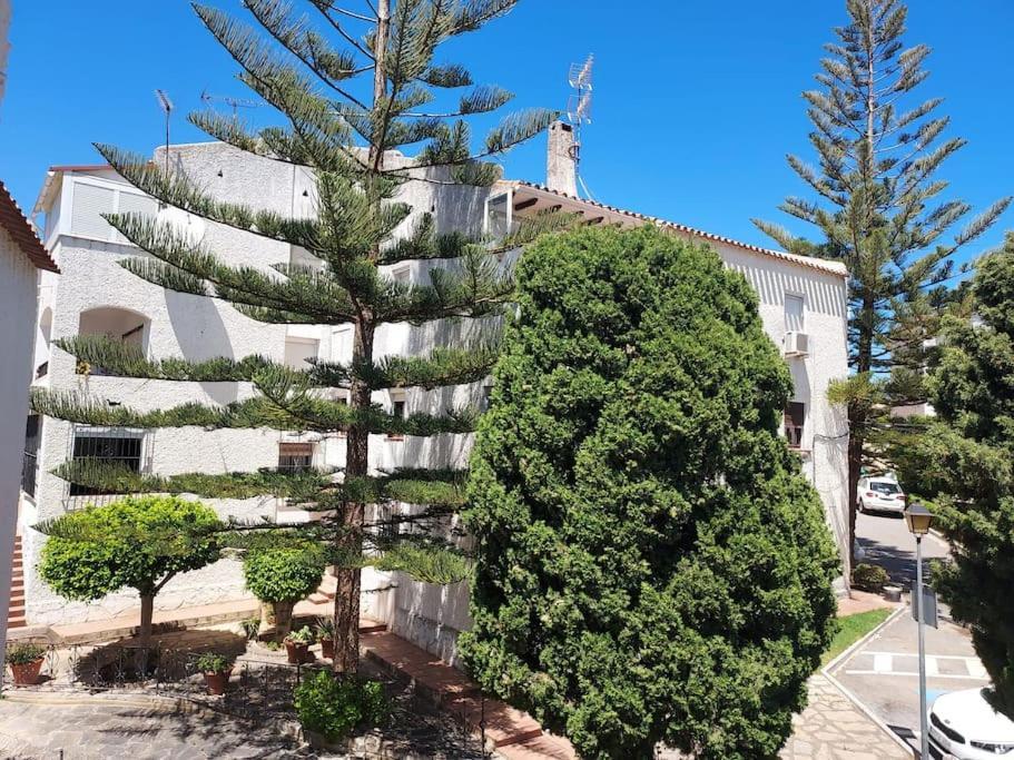 Apartamento A 150 Metros De La Playa Y Del Puerto Deportivo Естепона Екстер'єр фото